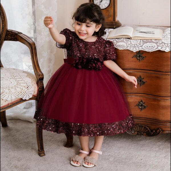 Robe De Princesse Fille Bordeaux Avec Nœud