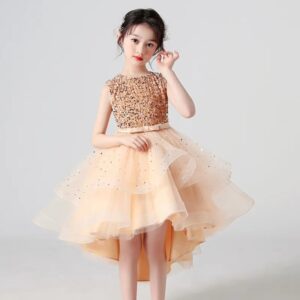 Robe Princesse Paillette Fille